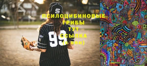 гашик Нязепетровск